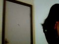 videos de maiara 3