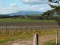 The Wine Country in Napa Valley & Australia ...