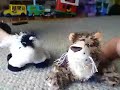 american idol- webkinz edition american idol- webkinz edition