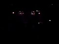 Fair to Midland - Dance of the Manatee Live