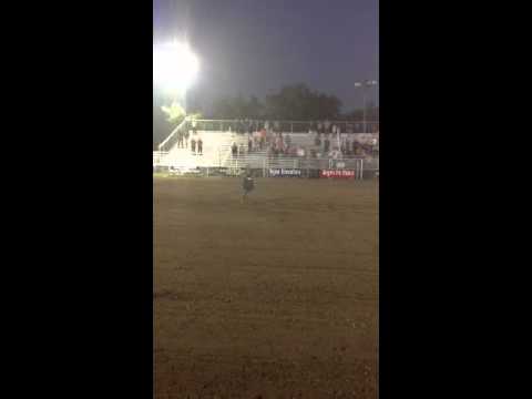 grand national results