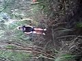 Extreme Tramping - Spirit Of Adventure - Voyage 493