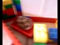 videos de Hamster race