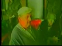Bosnian Muslims destroy Serbian Orthodox Church Bosnian Muslims destroy Serbian Orthodox Church