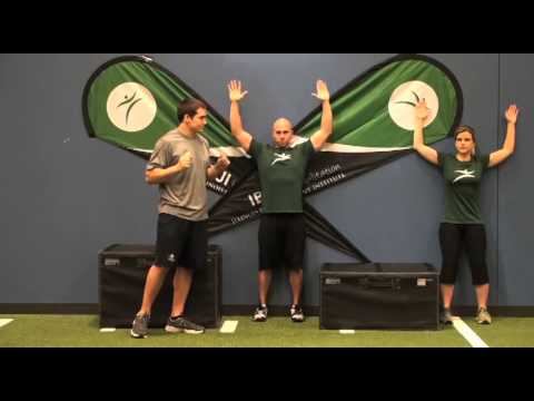 Goal Post