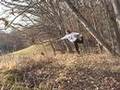 Cow Pasture Yoga & Relaxation