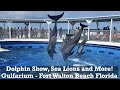 Aquarium In Fort Walton Beach Florida