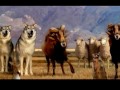 2006 Super Bowl: Budweiser \"Super Fan\"