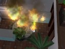 Incendis de dingues sims 2