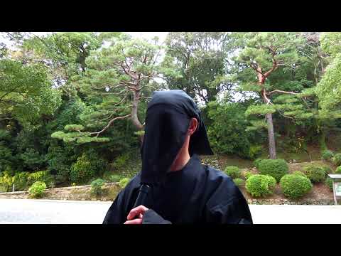 動画