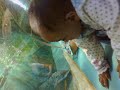 Zoya's encounter with Shark!