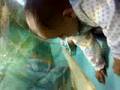 Zoya's encounter with Shark!
