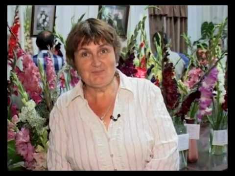 YouTube Трейлер