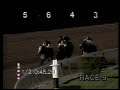 Holy Bull - 1995 Olympic Handicap