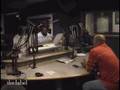 The LOUD.com Private Jet Promo Tour - Part 5