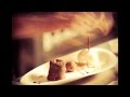 Melbourne Restaurants - YouTube