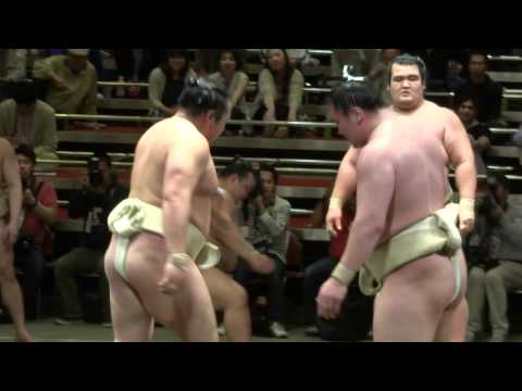 横綱・白鵬のぶつかり稽古 横審稽古総見