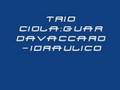 Trio Ciola: Guardavaccaro-Idraulico