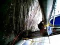 F20 Predator catamaran, single handed righting with water bag