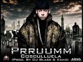 PRRUM
