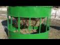 videos de Hay Feeder/Hay Hopper Feeder/Hay Saver