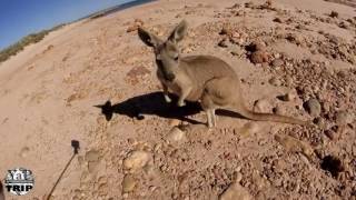 L'Australie de l'Ouest en vidéo