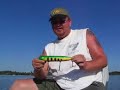 My new musky bait