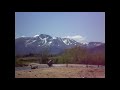 Psychiatric Care For Geese - Yohimbi Orchestra - The Bureaucracy Of Hope