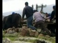 TEDAS ERZURUM TRAFO BAKIM TRAFO DEĞİŞİM