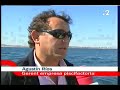 Reportaje suelta doradas en CULMAR