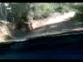 videos de semos sicarios 2.3gp