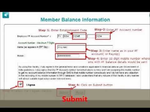 how to check epf balance