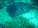 Marble Ray