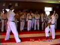 videos de Toma and Dave 1993