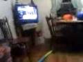 1103081824a.3gp