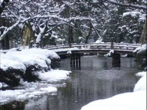 Video of Kikunoya