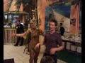 Claudio dance