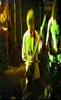 Vid�o Tribute To The Jester de RKL