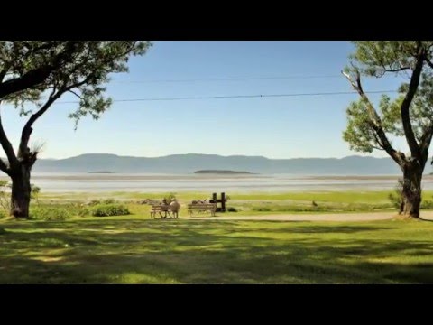 Auberge des Dunes - Hôtel - Auberge des Dunes - Saint-Antoine-de-l'Isle-aux-Grues - La Côte-du-Sud - Chaudière-Appalaches