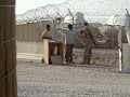 do funny things to an iraq person behind his back. in telic