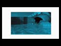 new video. old buddy. vincent who. http://bit.ly/4s9MI8 *film 8* http://vincentwho.com/ NSFW