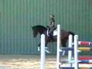 Gregory Galopp links