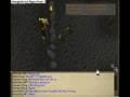 RUNESCAPE MONK WARS