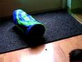 videos de Puk0113