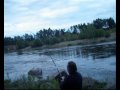 Svettigt att fiska lax