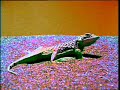 93XRT Lizards Commercial
