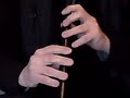 The Leitrim Fancy (Low D Whistle) Demo