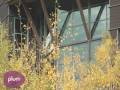 Plum Homes: 1701 Buffer Creek Road