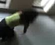La lOka De...aLgUna PaRrT!