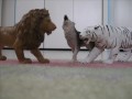 Random clay er animalation XD ***Add your own annotations***
